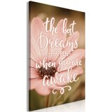  Slika - The Best Dreams Happen When You Are Awake (1 Part) Vertical 40x60 Cijene