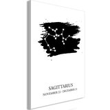  Slika - Zodiac Signs: Sagittarius (1 Part) Vertical 40x60 Cijene