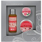 Saloos erotika gift box for daily care Cene
