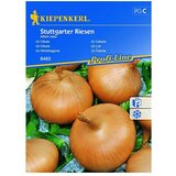 KIEPENKERL Profi-Line Zelenjavna semena čebule Sttutgarter Riesen (Allium cepa, Čas žetve: September, 6 m²) | Shoptok.si