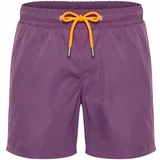 Trendyol Men's Dark Purple Basic Standard Size Marine Shorts