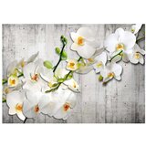  Tapeta - With saffron accent 350x245 | shoptok.hr