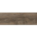  Rainforest Nogal 20x60 Cene