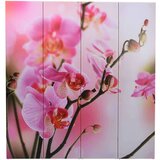 vidaXL Sklopiva sobna pregrada s uzorkom cvijeća 160 x 170 cm | shoptok.hr