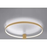  Stropna svetilka RIO 55 golden LED 4000K, (21347461) | Shoptok.si