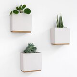 KAZAI stenski lonček za rože | Shoptok.si