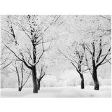  Tapeta - Trees - winter landscape 400x309 | shoptok.hr