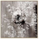  Slika - Dried Flowers (1 Part) Square 80x80 | shoptok.hr