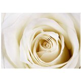  Tapeta - Pearl maze 250x175 | shoptok.hr