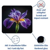 Wenko Zidna zaštitna ploča za štednjak od kaljenog stakla 50x56 cm Iris – | shoptok.hr