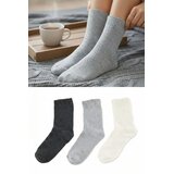 TRENDYOLMILLA Ženski set čarapa Thmaw25Co00006, 3 para, Šareni Cene