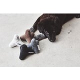 MiaCara Igračka za psa Quattro Dusty Green S/M – | shoptok.hr