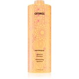 amika Normcore Signature Shampoo nježni šampon za sve tipove kose 1000 ml Cijene