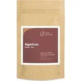 agaricus v prahu