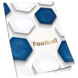  BILJEŽNICA A5 MU 52L ČISTA PREMIUM 80G CONNECT Cijene