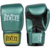 Benlee Artificial leather boxing gloves Cijene