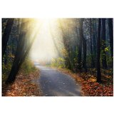  Samoljepljiva foto tapeta - Road through the Forest 98x70 | shoptok.hr