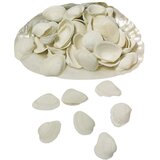 RAYHER Školjke 250g, (20634018) Cene