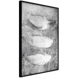  Poster - Delicate Feathers 20x30 Cijene