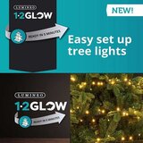 Lumineo novogodišnja LED rasveta 150cm Toplo bela 1-2 Glow Cene