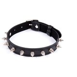 Fetish Addict Collar with Spikes Adjustable 43cm Black Cene