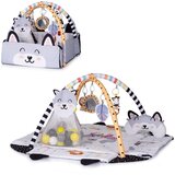 Chipolino edukativni centar za igru s lopticama FUN ZONE Multicolor | shoptok.hr