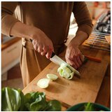 Fiskars santoku nož (1057536) | shoptok.hr