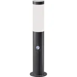 Spoljašnja lampa ELIA sa senzorom 1xE27/20W/230V IP44 50 cm antracit