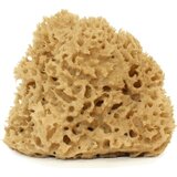 Cose della Natura honeycomb - naravna spužva - velika, 12-14 g Cene