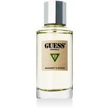 Guess Type 1: Bergamot i Vetiver Eau De Parfum 100 ml (unisex) | shoptok.hr