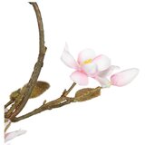 Ixia Vijenac Magnolia – | shoptok.hr