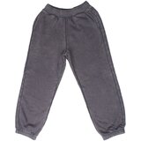 GAP Spodnji deli trenirke 731197-002 Siva Cene
