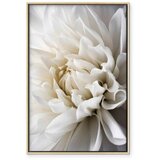  Slika - White Dahlia 80x120 | shoptok.hr