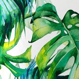 Esposa posteljnina jungle 220/240 cm saten večbarvno | Shoptok.si