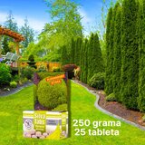  Tablete za Prihranu Četinara - 250gr Cene