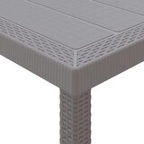 vidaXL Vrtna jedilnica 11 pcs Svetlo siva 250 x 100 x 73 cm Poli ratan | Shoptok.si