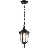 Elstead Lighting Elstead Cleveland Zunanja viseča stropna svetilka, obrabljena bronasta, IP44, (22098598) | Shoptok.si