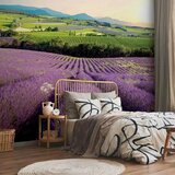 Artgeist Fototapeta Lavender Field, 100x70cm | Shoptok.si