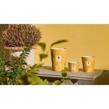 Baobab Collection Paz Dove dišeča sveča 500 g | Shoptok.si