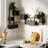 Umbra Plastični cvetlični lonci v kompletu 4 ks za zelišča/viseči Cubiko – | Shoptok.si