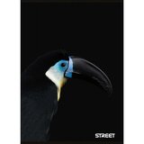 STREET Zvezek Safari A4 brezčrtni | Shoptok.si