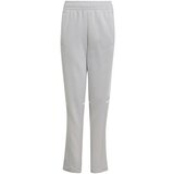 Adidas Spodnji deli trenirke Squadra 25 Siva Cene