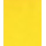  Barvni fotokopirni papir A4, zlat (gold), 500 listov | Shoptok.si