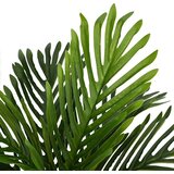  Umjetna biljka palma 9 listova 70 cm zelena | Eponuda.com