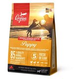 Orijen hrana za pse Puppy - 11.4 kg Cene