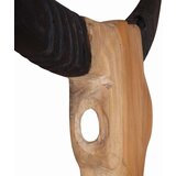  Skulptura lubanje bika tikovina 66x15x88 cm | shoptok.hr