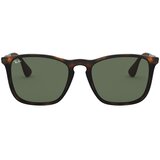 Ray-ban CHRIS 0RB4187 710/71 Smeđa | shoptok.hr