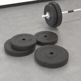 vidaXL Ploče za utege 4 kom 30 kg cementne Cijene