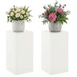  Stalak za biljke 2 pcs Bijela 30 x 30 x 60 cm Čelik Slike