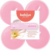 Bolsius Maxi dišeče čajne svečke "True Scents" - 8h (8 kosov) - magnolija Cene